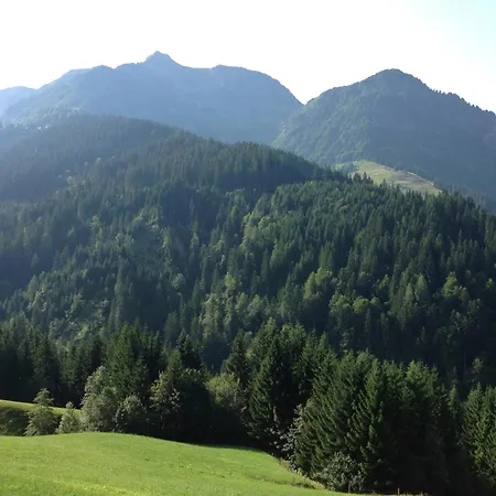 Hinterreith-hof Apartment Hochfilzen