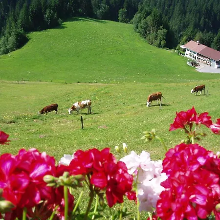 Apartmán Hinterreith-hof Hochfilzen