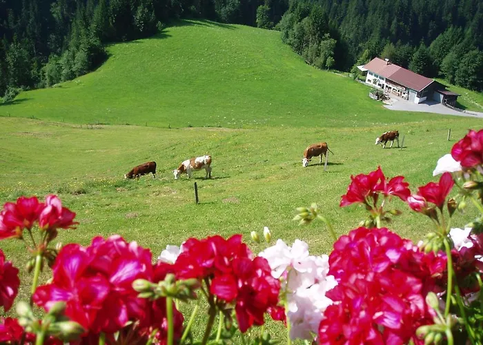 Lägenhet Hinterreith-hof Hochfilzen