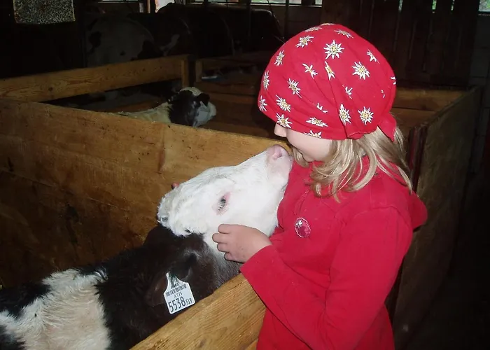 公寓 Hinterreith-hof *