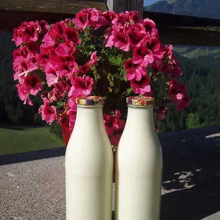 Hinterreith-hof *