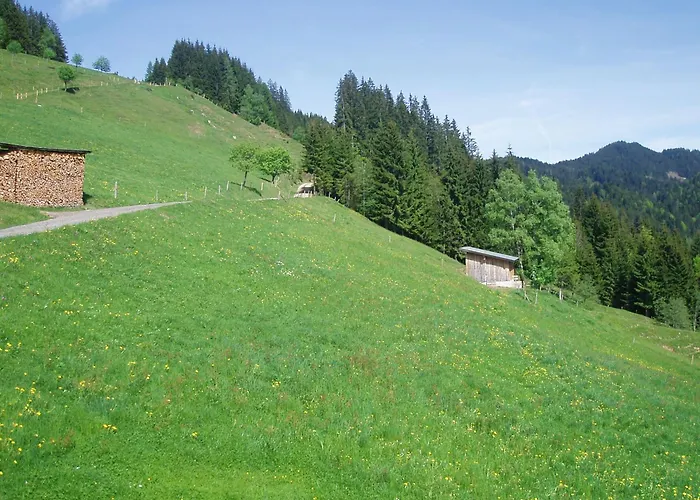 Appartement Hinterreith-hof Hochfilzen