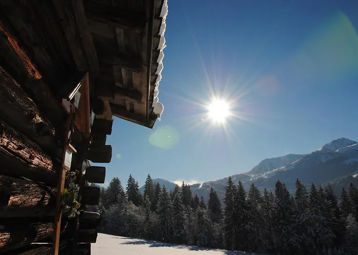 Hinterreith-hof Appartement Hochfilzen