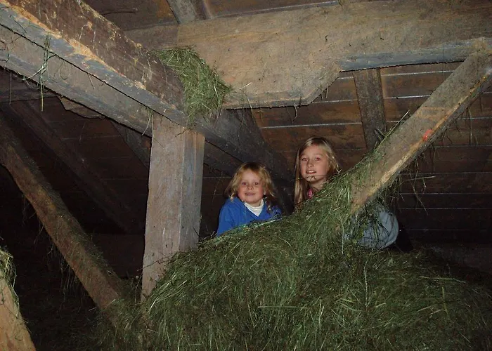 Hinterreith-hof Appartement