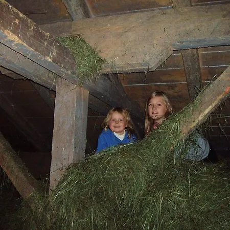 Hinterreith-hof Διαμέρισμα