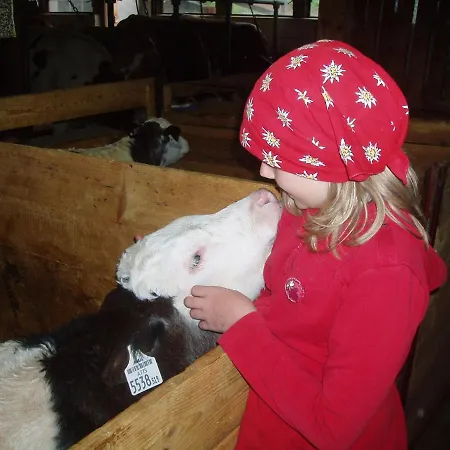 Διαμέρισμα Hinterreith-hof *